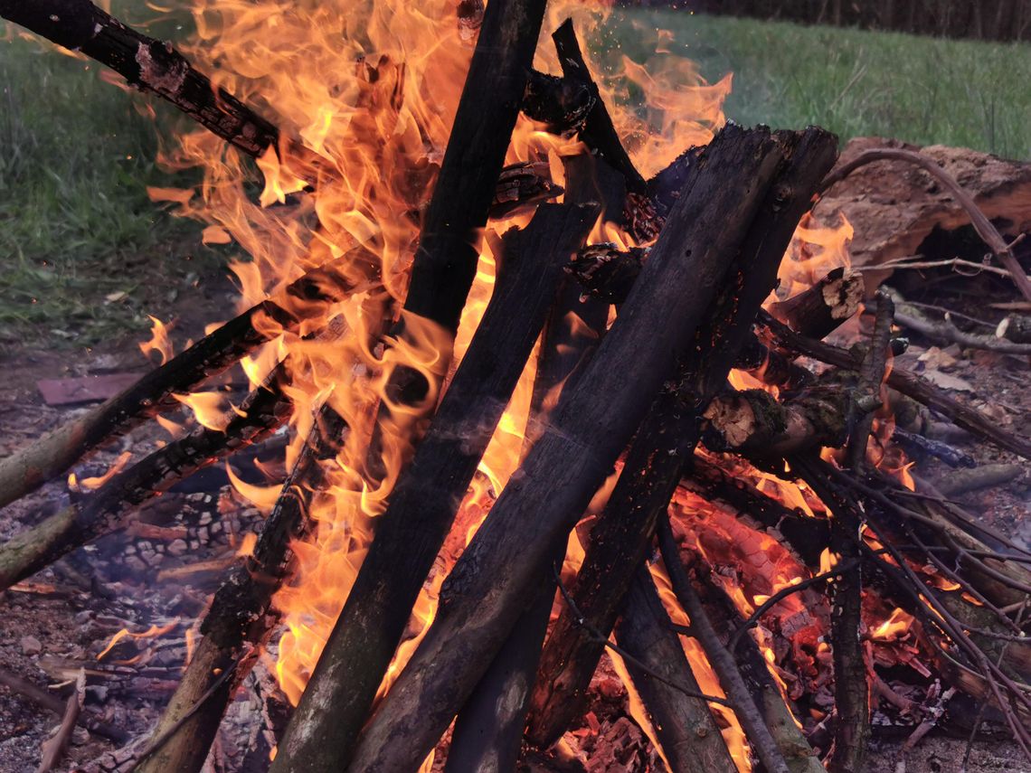 Nie pozbywaj się gałęzi i liści w ognisku. Słono za to zapłacisz Nie pozbywaj się gałęzi i liści w ognisku. Słono za to zapłacisz
