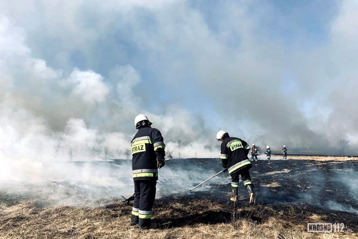 Ogromny pożar nieużytków na terenie gminy Jaśliska