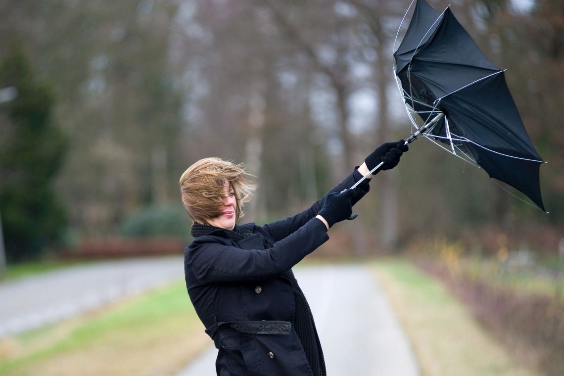 ? Ostrzeżenie METEO: W piątek silny wiatr. Porywy do 80 km/h