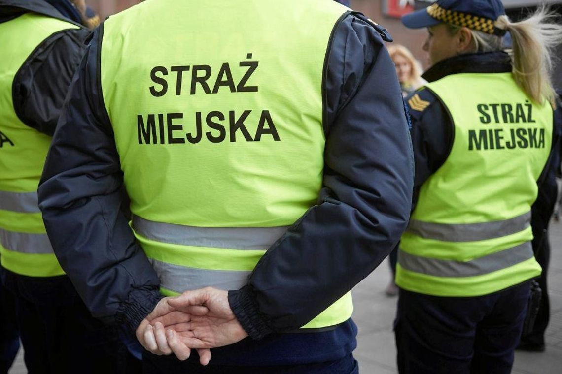 Oszustwo na zaległy mandat. Automat podszywa się pod Straż Miejską