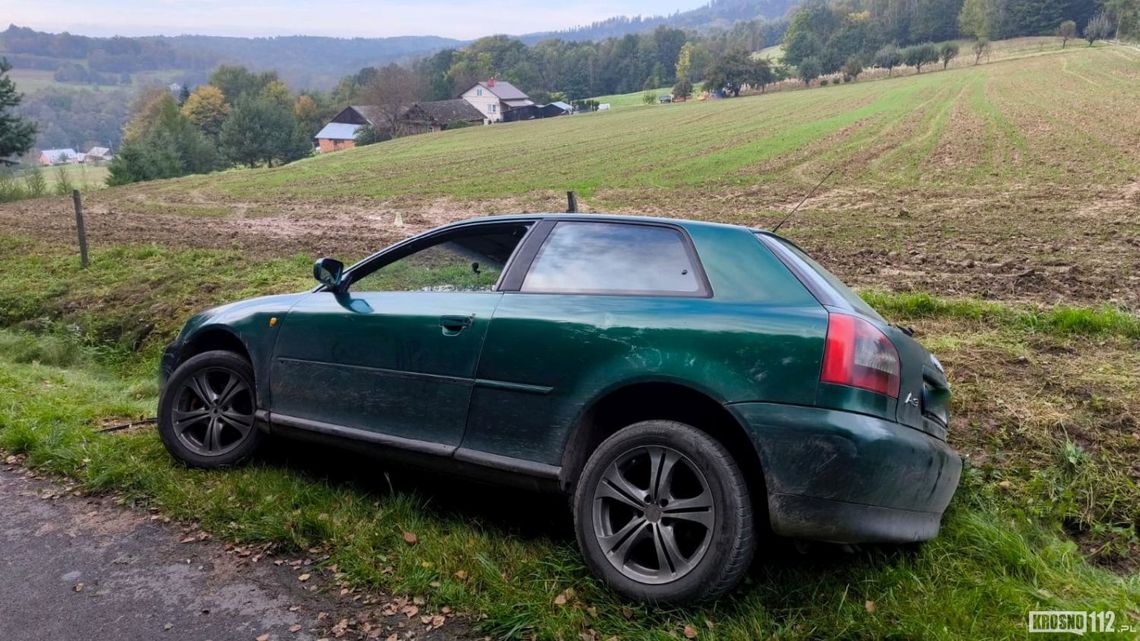 Pietrusza Wola. Kierujący Audi wjechał do rowu, dwie osoby potrzebowały pomocy