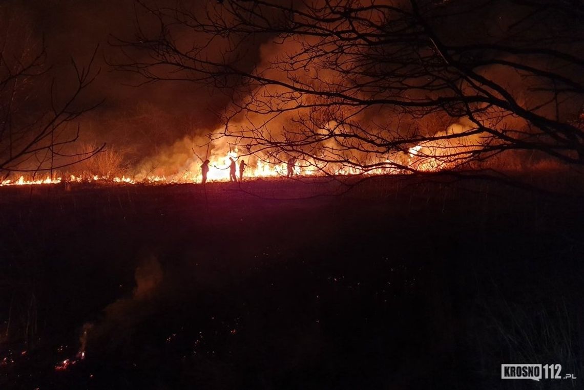 Plaga pożarów traw. Strażacy codziennie walczą z ogniem na polach i łąkach
