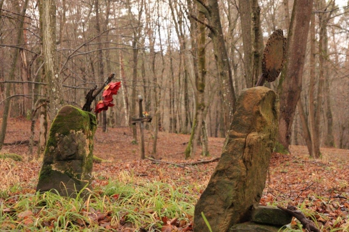 Podkarpaccy leśnicy uporządkowali leśne groby