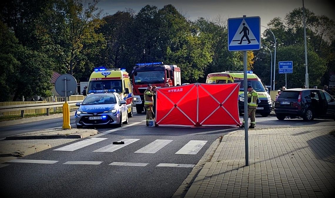 Podkarpacie. Nie żyje 6-letnie dziecko, potrącił je 18-letni kierowca