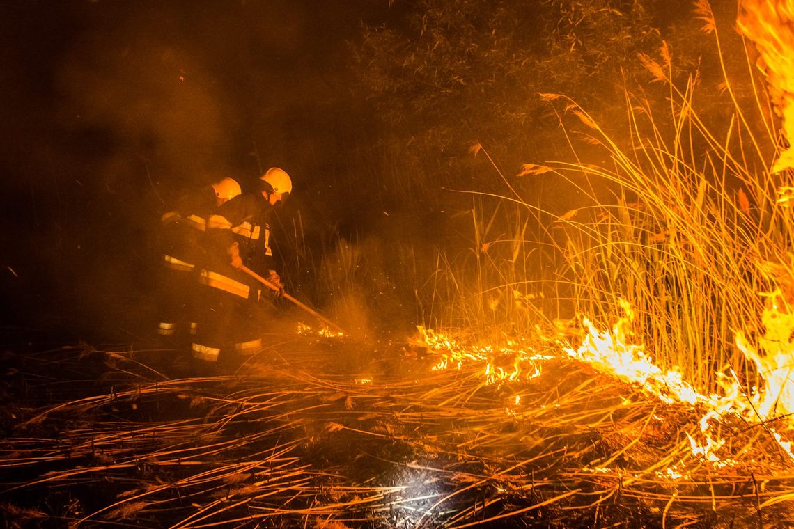 Podpalacze traw na celowniku. Kary zostały zaostrzone