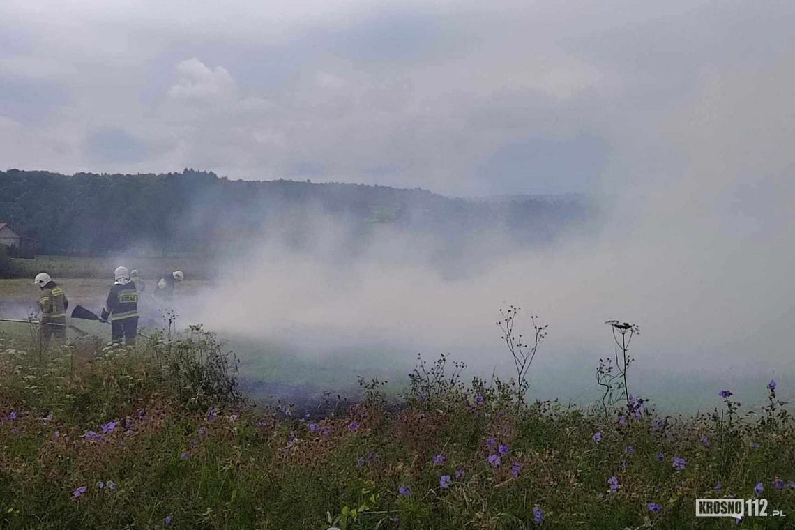 Podpalane są nieużytki i ścierniska. W czwartek interweniowano w Łękach Dukielskich
