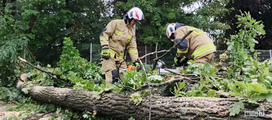 Połamane drzewa, uszkodzone dachy. Blisko 1200 interwencji podkarpackich strażaków