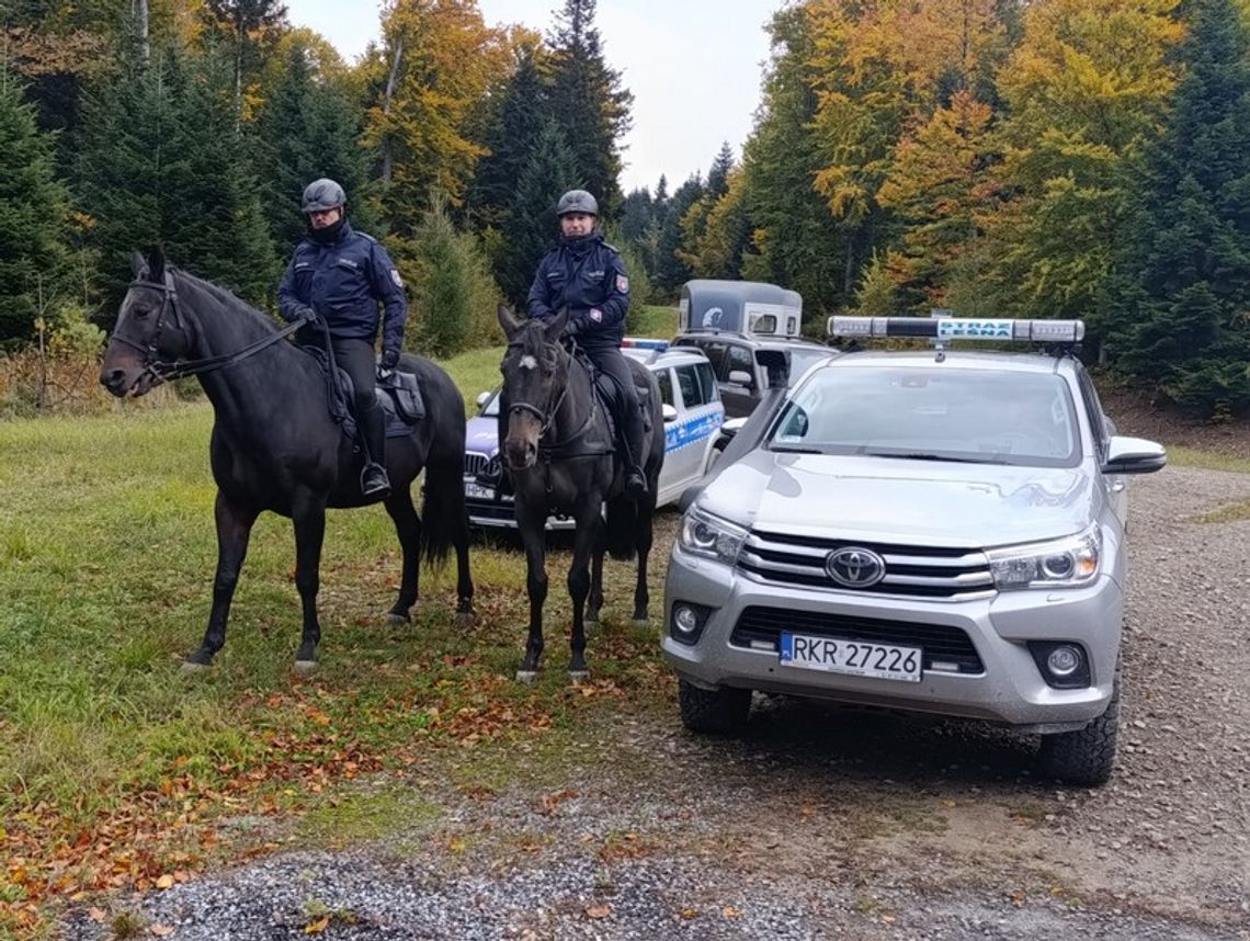 Policjanci na koniach patrolują kompleksy leśne powiatu krośnieńskiego