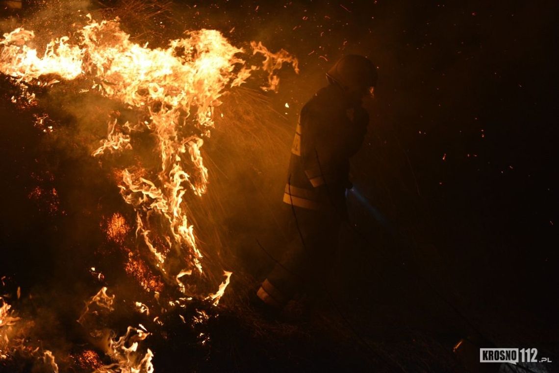 Ponad 90 hektarów nieużytków wypalonych w ostatnich pożarach