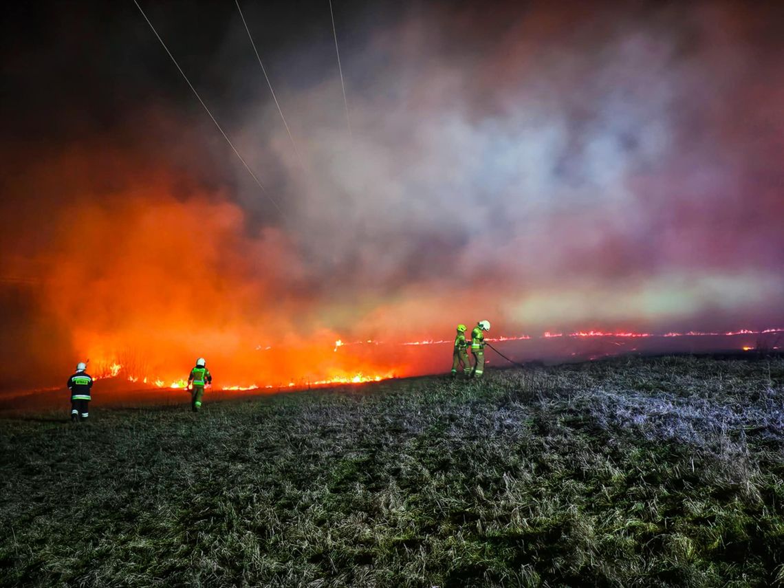 Ponad sto pożarów traw na Podkarpaciu. Strażacy apelują o rozsądek