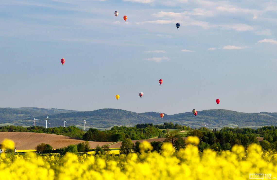 Lot balonów nad polami rzepaku. Te zdjęcia musicie zobaczyć Lot balonów nad polami rzepaku. Te zdjęcia musicie zobaczyć