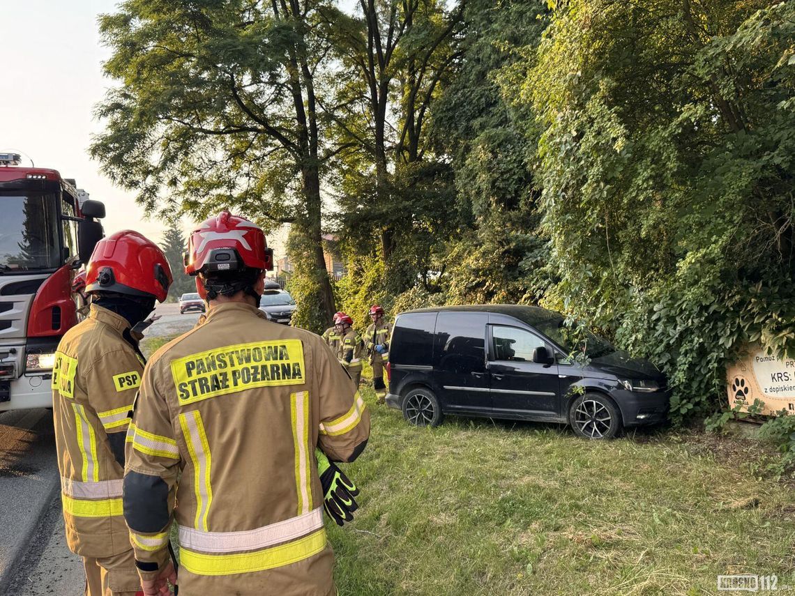 Poranna kolizja na Bema. W pojeździe dwa czworonogi