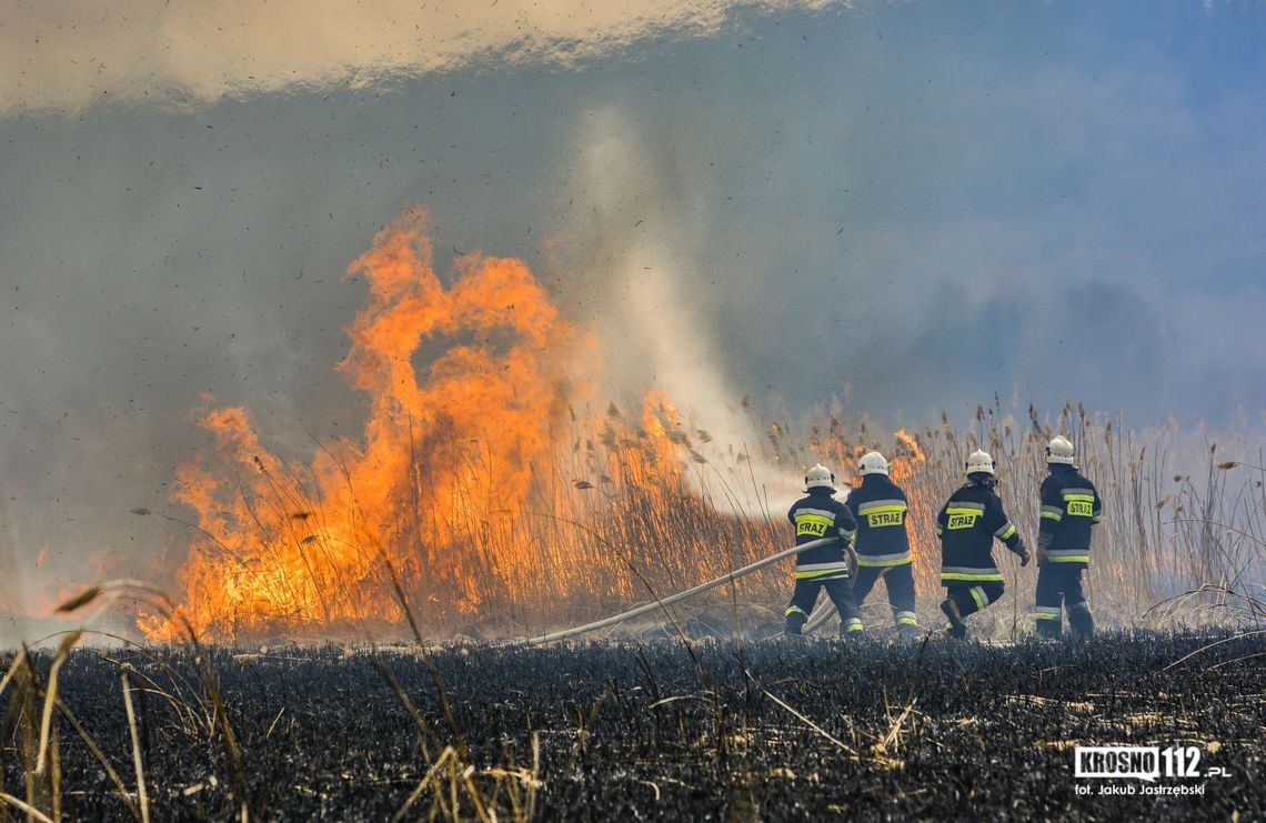Potężny pożar traw w gminie Chorkówka. W akcji ponad 10 zastępów straży pożarnej