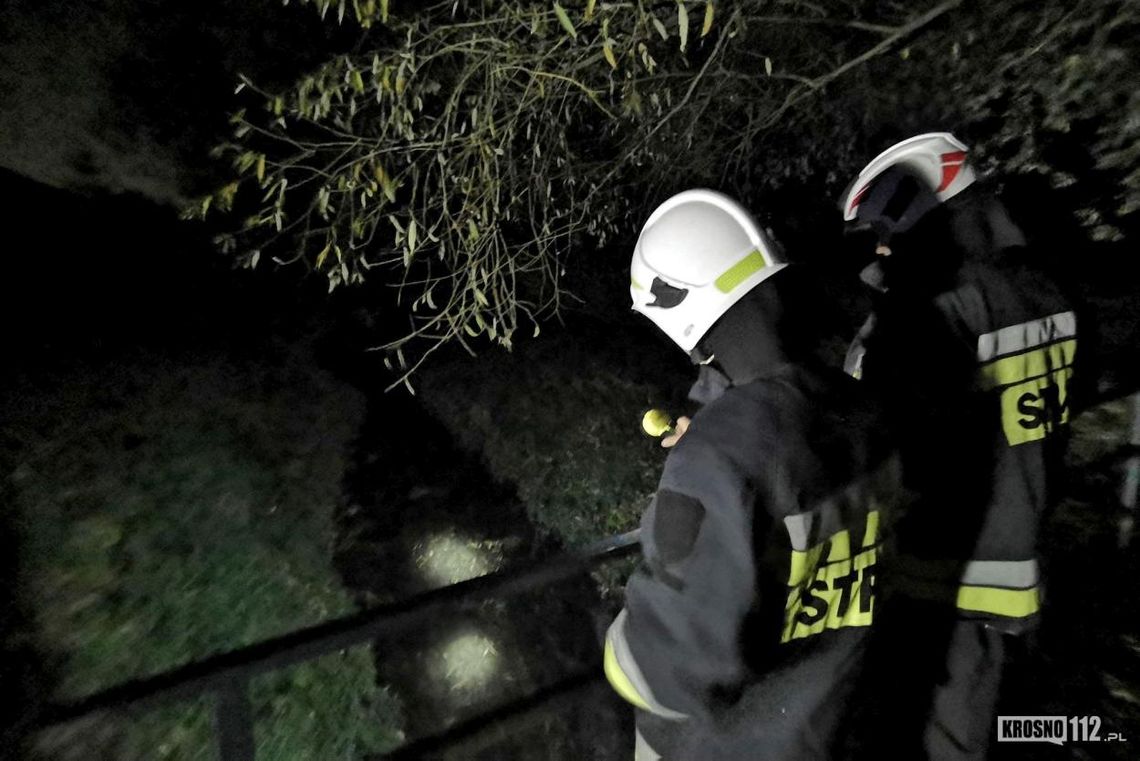 Potok Marzec zanieczyszczony kolejny raz. Akcja służb