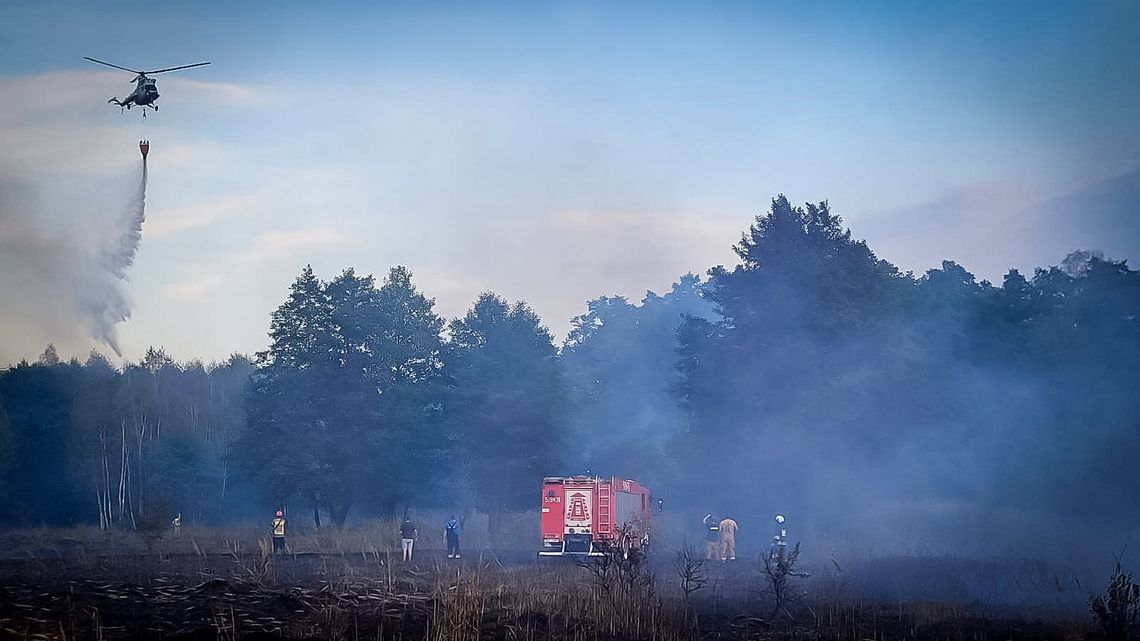 Pożar lasu na Podkarpaciu. W akcji gaśniczej brał udział samolot i śmigłowiec