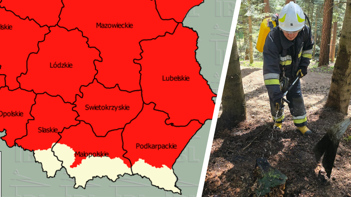 Pożar pod Zamkiem Kamieniec. Szybka akcja służb zapobiegła większym stratom w lesie