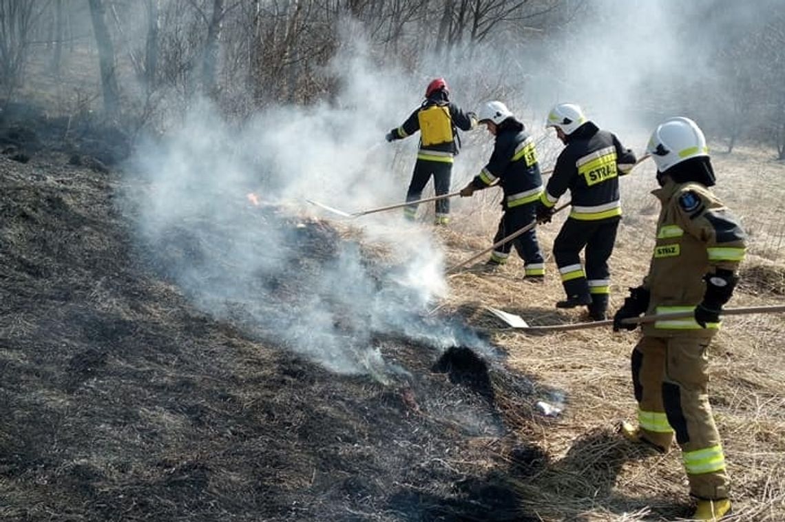Pożar traw w Węglówce. Podpalacz ukarany mandatem