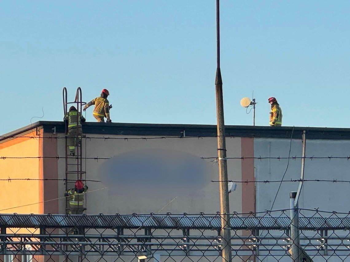 Pożar w hali produkcyjnej przy Tysiąclecia