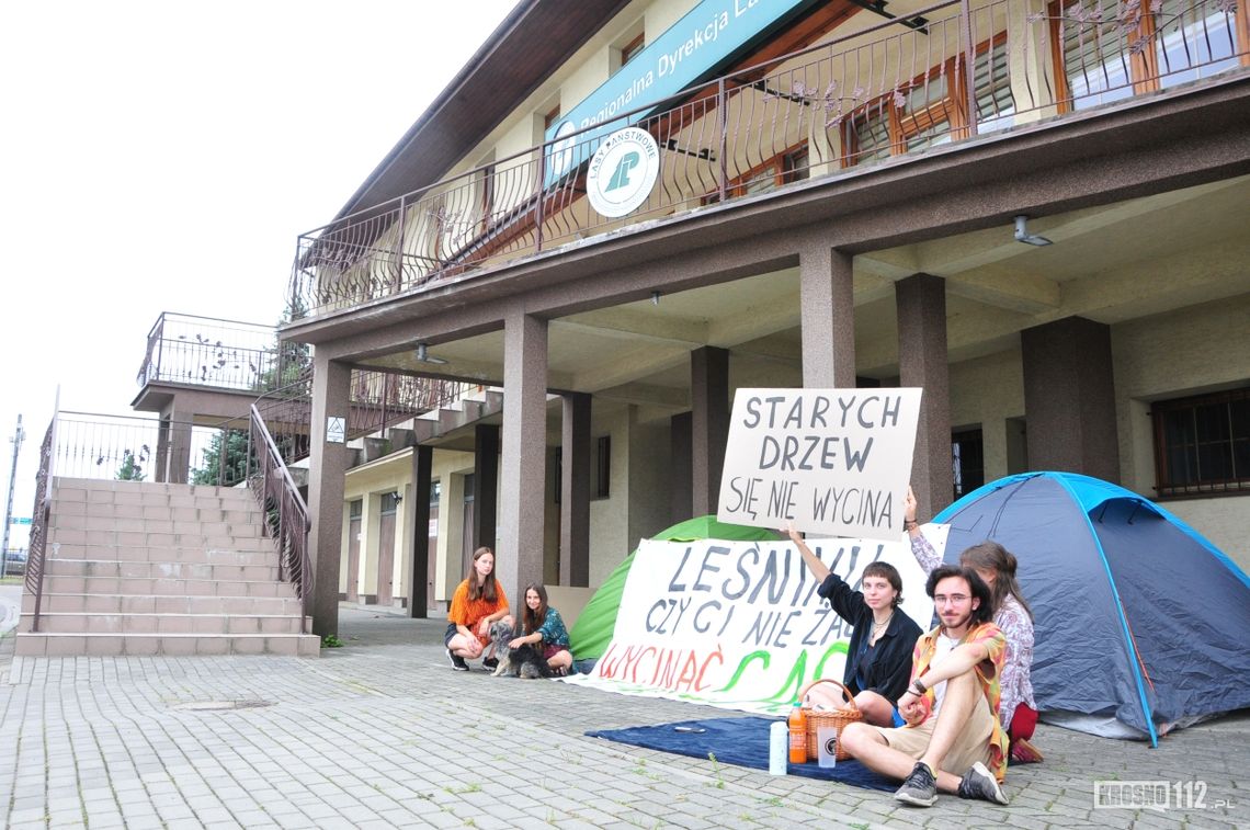 Protest przed RDLP w Krośnie. Aktywiści chcą zaprzestania wycinki drzew pomnikowych