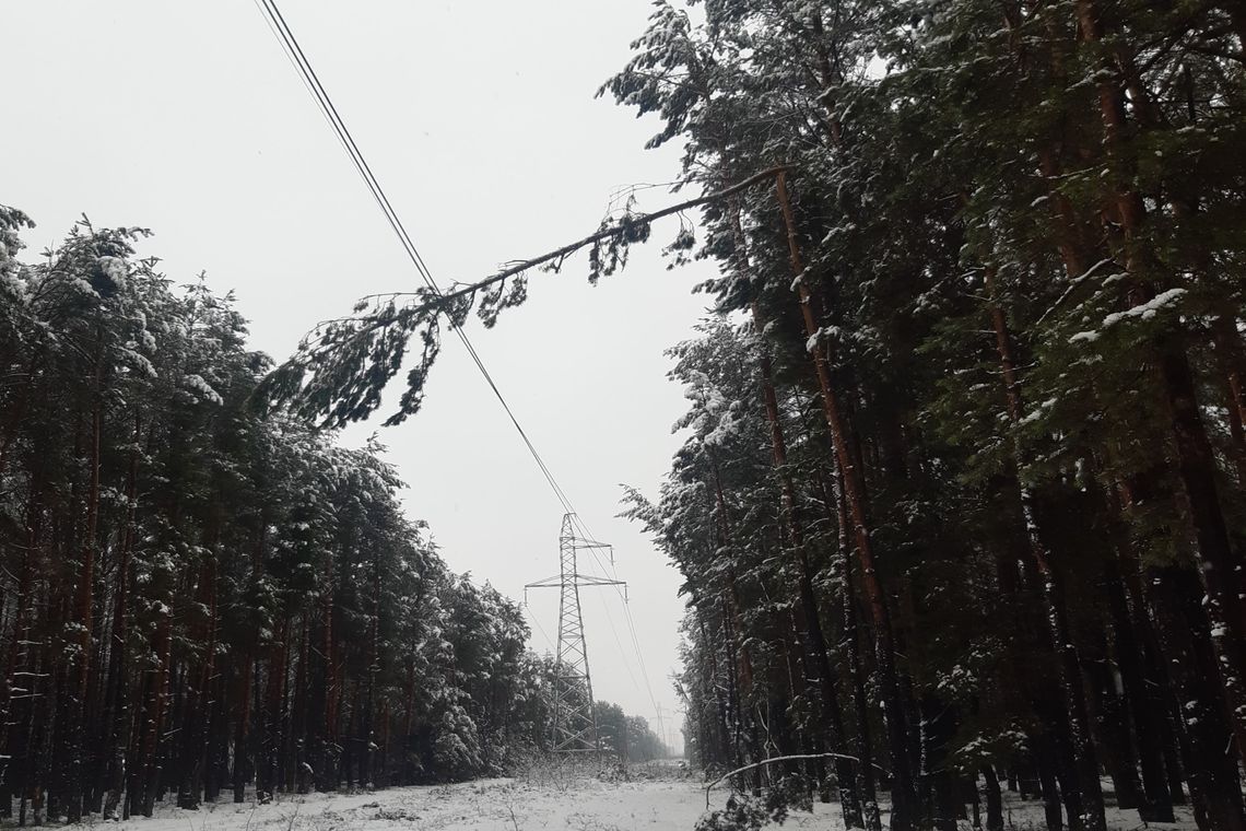 Przerwy w dostawie energii. Jakie prawa mają odbiorcy? Przerwy w dostawie energii. Jakie prawa mają odbiorcy?