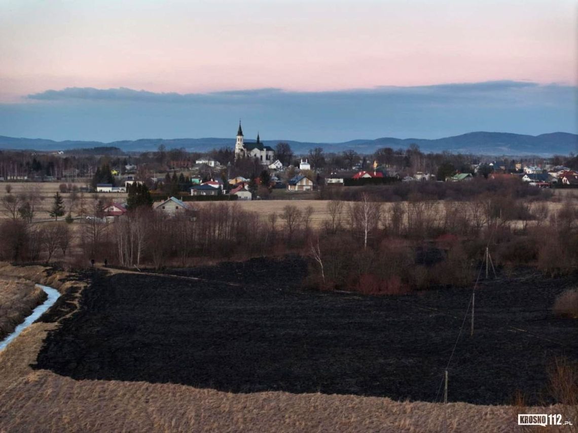 Przypominamy! Palenie traw to realne zagrożenie i surowe kary od 2026 roku Przypominamy! Palenie traw to realne zagrożenie i surowe kary od 2026 roku