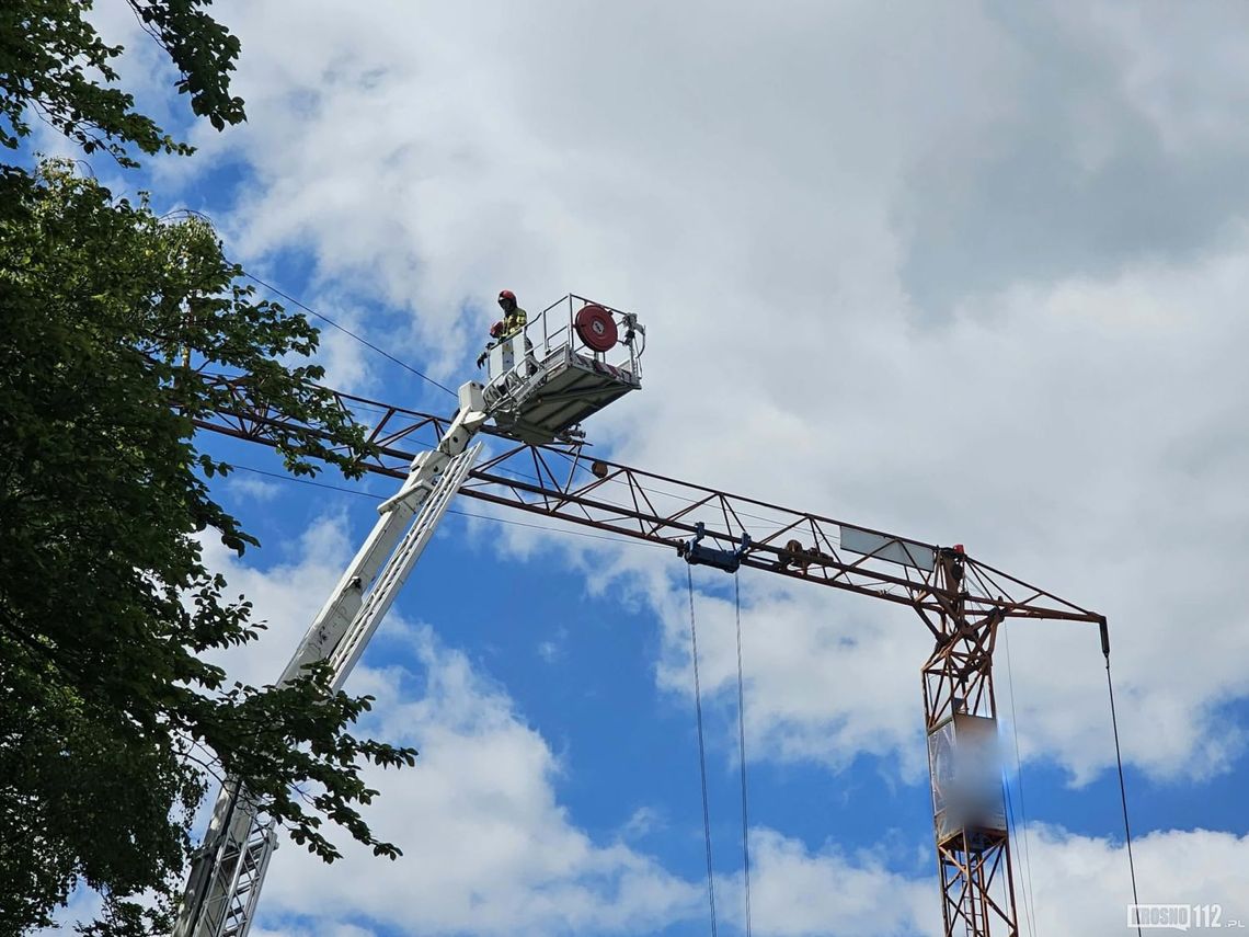 Ramię żurawia wieżowego zaplątane w korony drzew. Strażacy interweniują w Bóbrce Ramię żurawia wieżowego zaplątane w korony drzew. Strażacy interweniują w Bóbrce