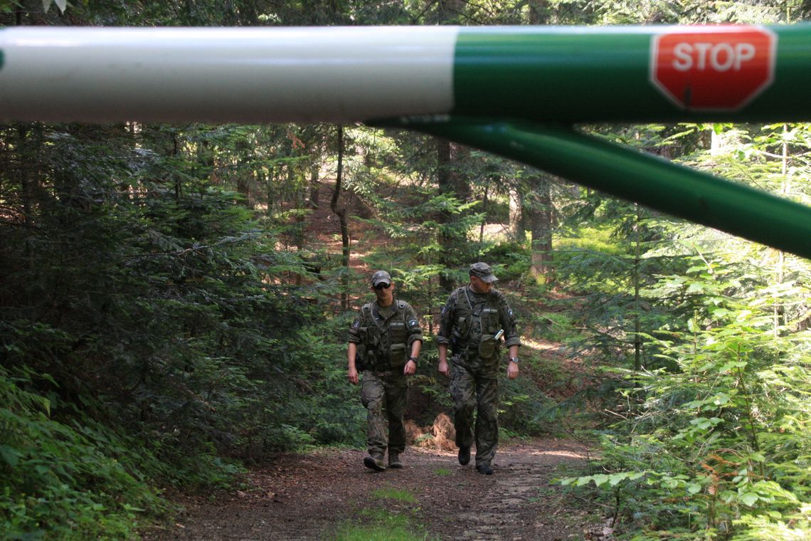RDLP w Krośnie zapowiada wzmożone patrole w czasie majówki