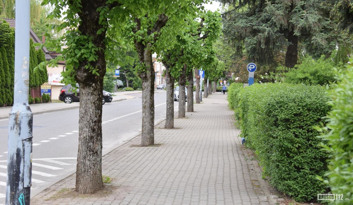 Rozbudowa ulicy Wojska Polskiego kosztem drzew. Są krośnianie, którzy się na to nie godzą
