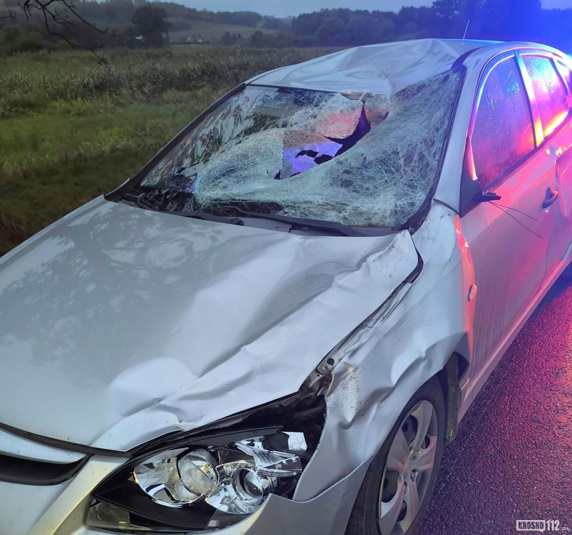 Rymanów. Samochód zderzył się z jeleniem, jedna osoba poszkodowana