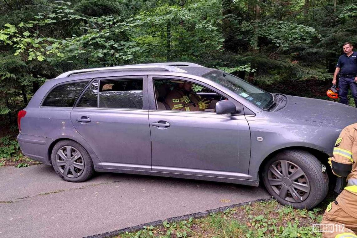 Samochodem wjechał do rowu przy Pustelni św. Jana. Nie mógł wydostać się z pojazdu