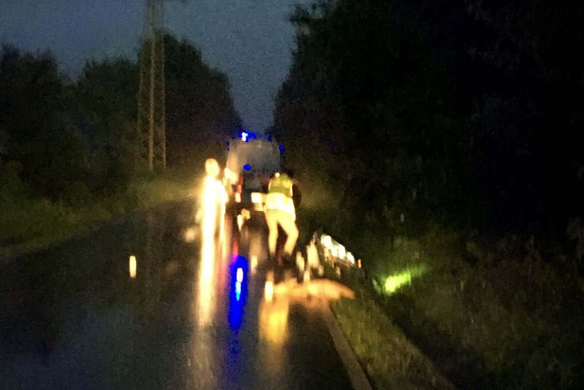 Sarna wbiegła w samochód i rowerzystę
