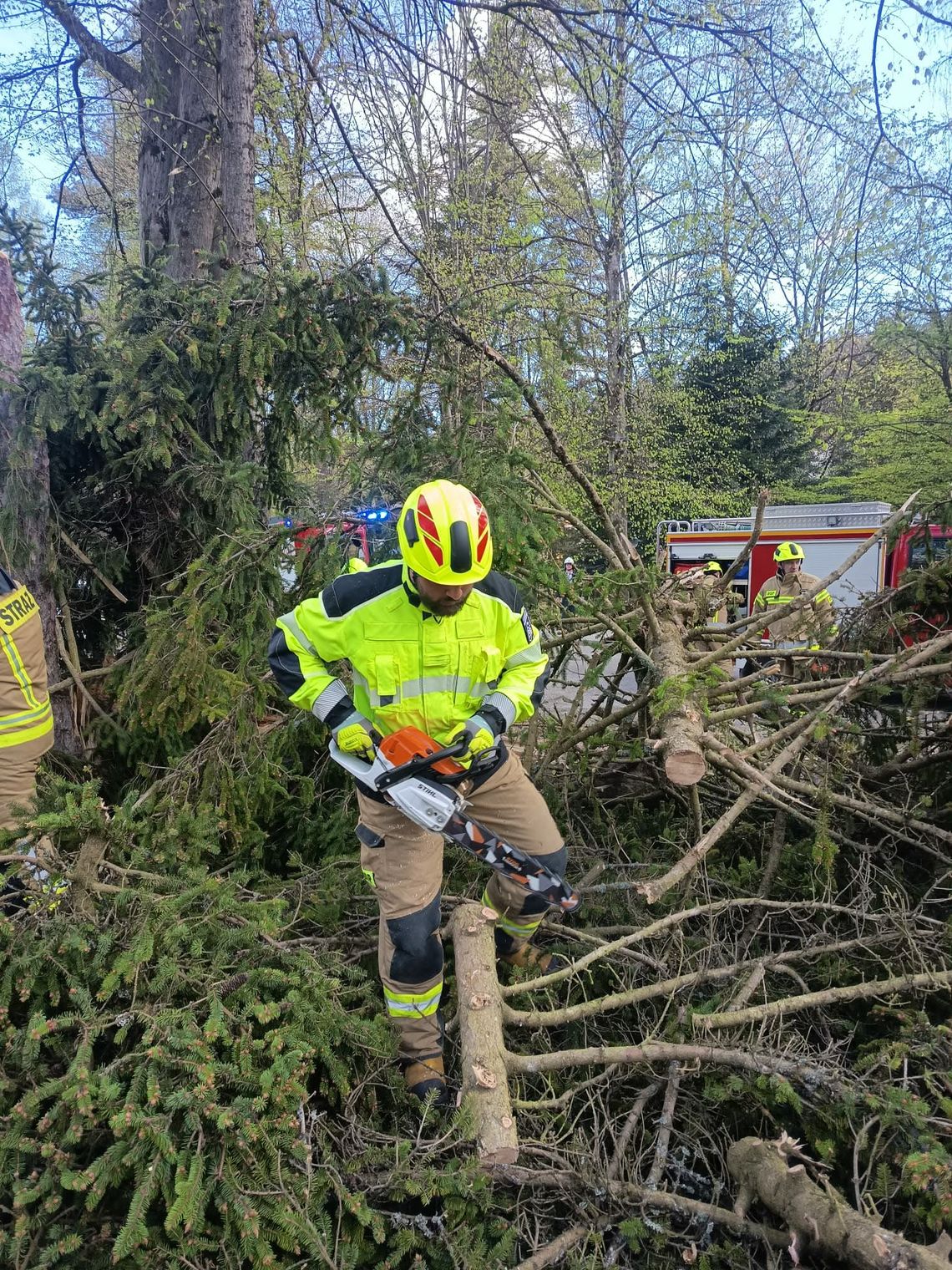 Silny wiatr nad Podkarpaciem. Strażacy interweniowali blisko 160 razy
