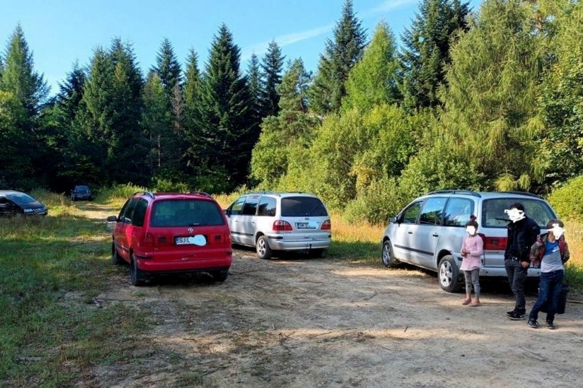 Straż Leśna nałożyła mandaty na rumuńskich grzybiarzy