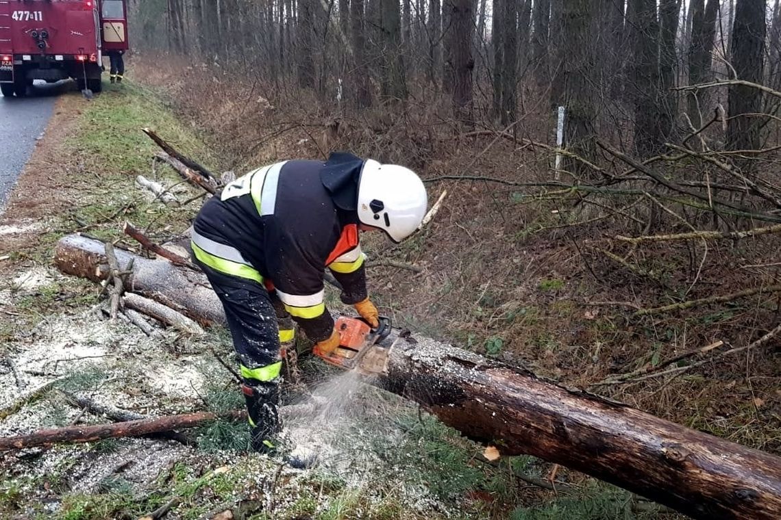 Strażacy interweniowali już kilkadziesiąt razy w związku z silnym wiatrem. Drogi w większości przejezdne
