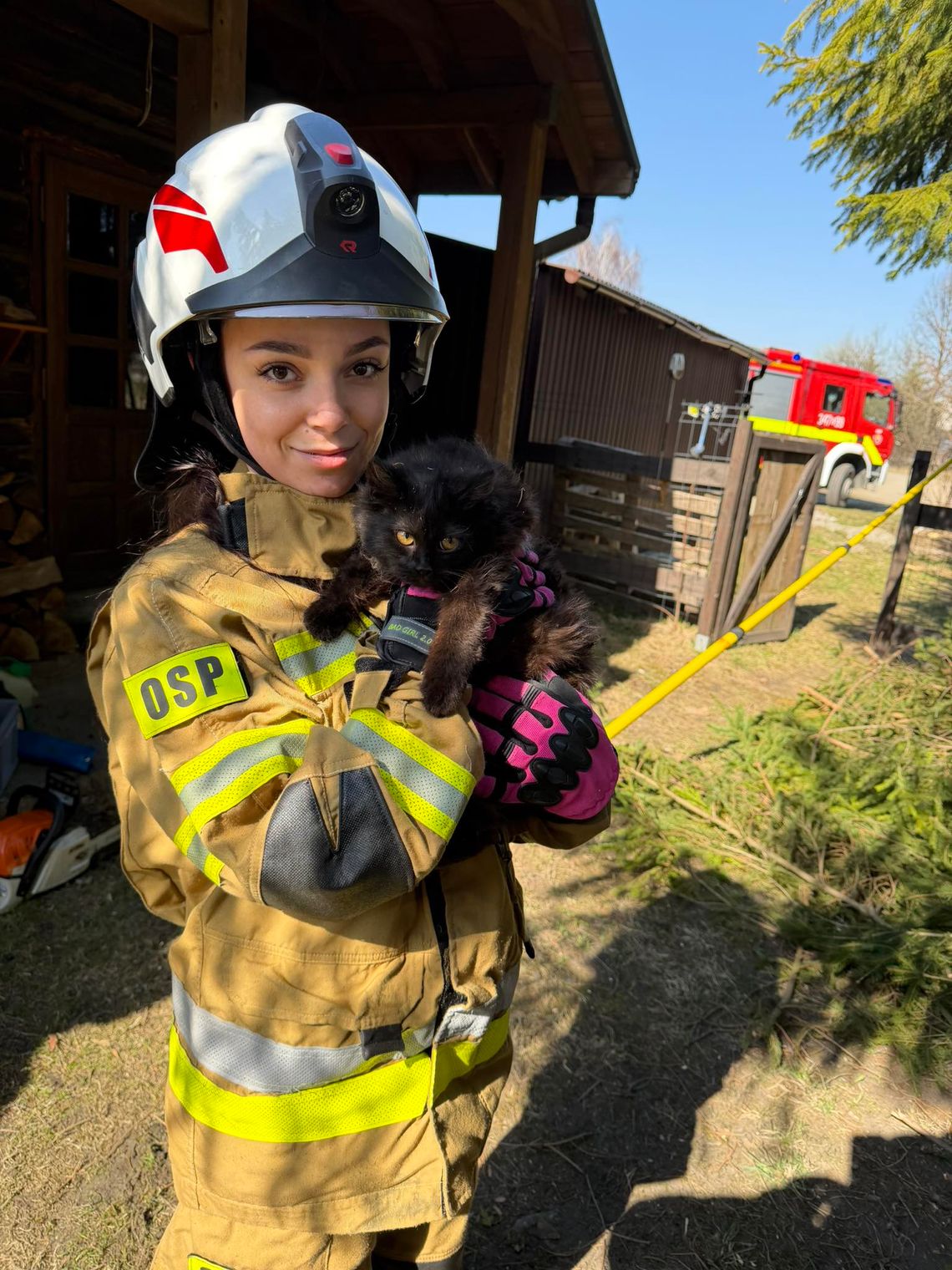 Strażacy ratują nie tylko ludzi. Seria interwencji z udziałem zwierząt