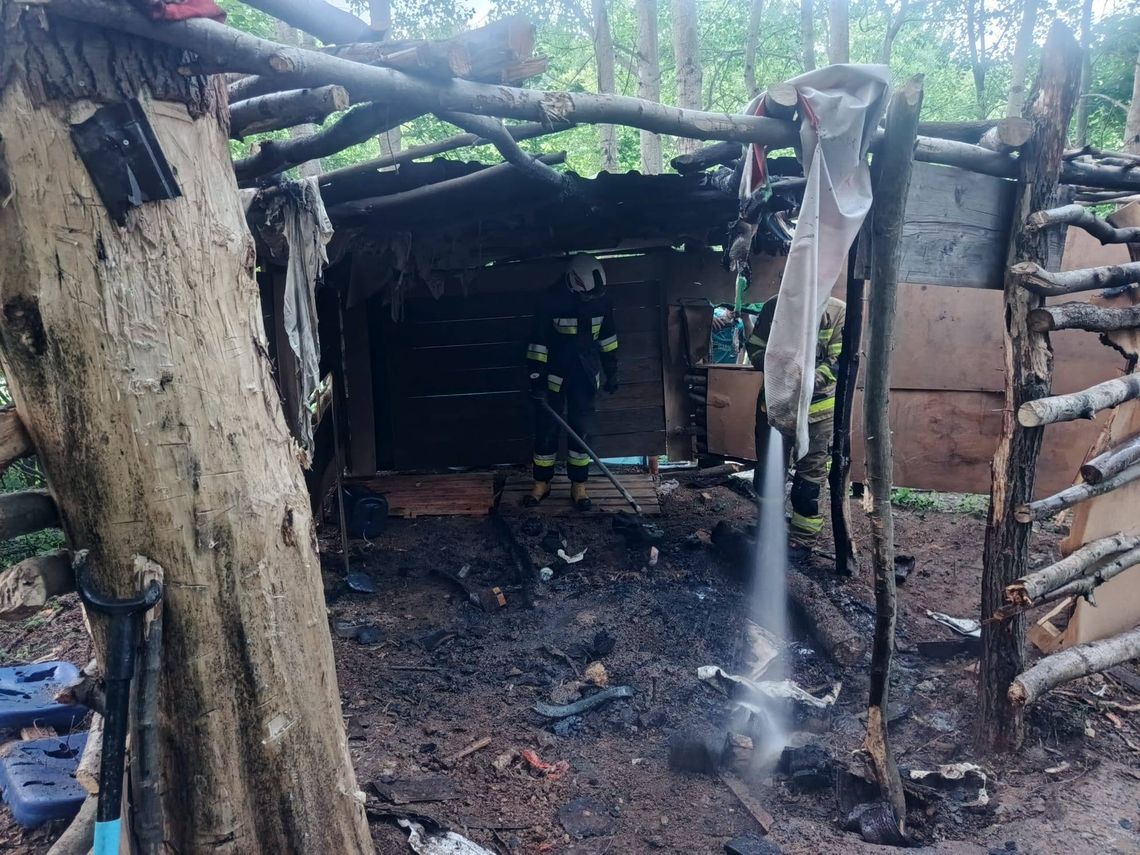 Strażacy wezwani do pożaru szałasu w lesie
