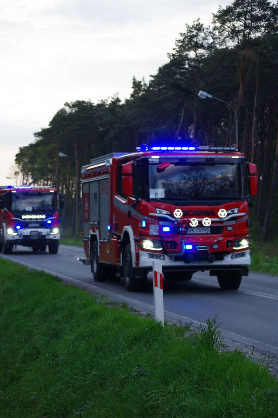 Strażacy z Podkarpacia ruszyli na Lubelszczyznę. Będą gasić ogromny pożar lasu