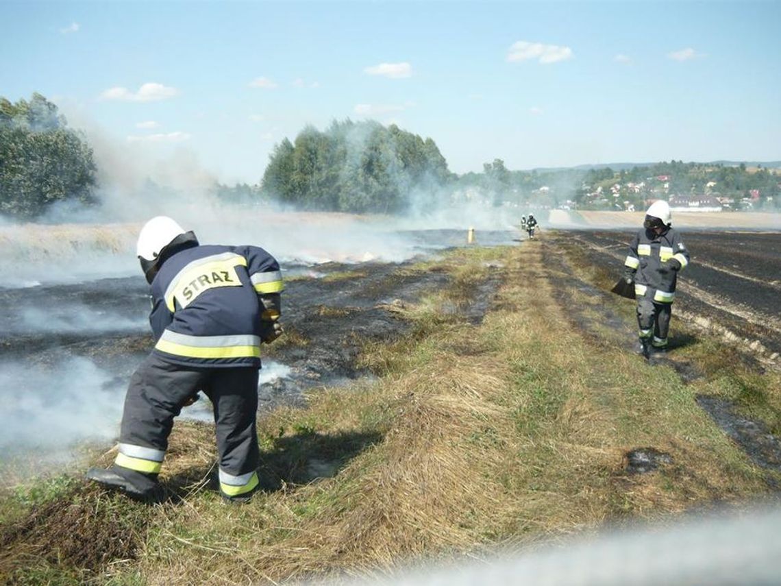 Susza: Straż pożarna codziennie interweniuje przy pożarach