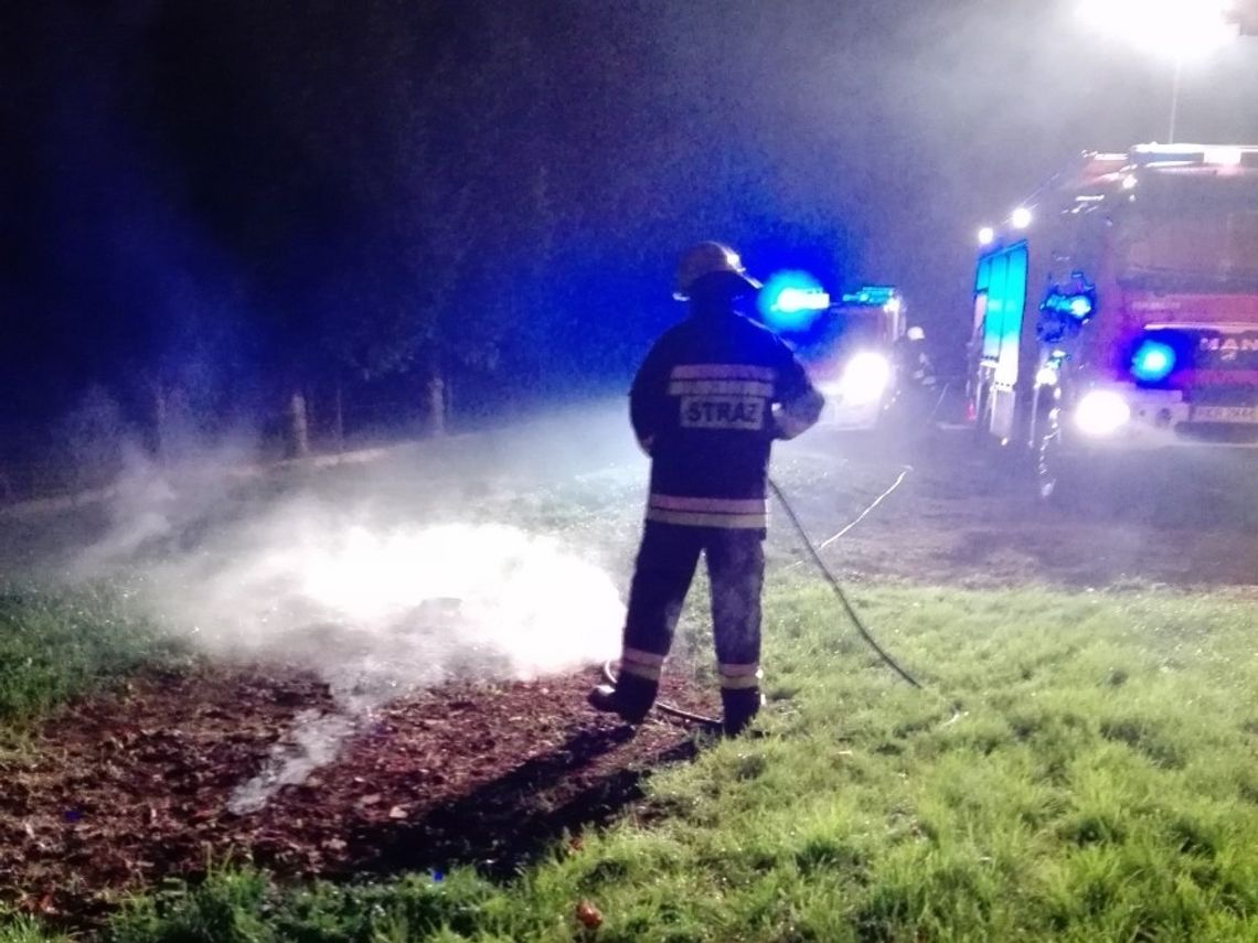 ŚWIERZOWA POLSKA: Pożar w kotłowni. Interweniowali strażacy