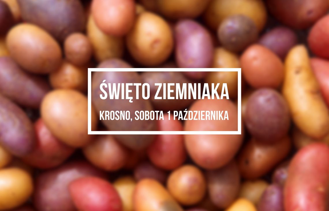 Święto ziemniaka już w sobotę