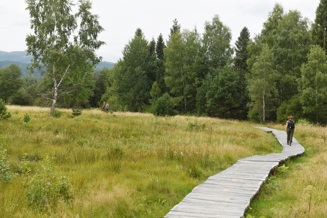 Tarnica była najpopularniejsza. Bieszczadzki Park Narodowy podsumował wakacyjną frekwencję na szlakach