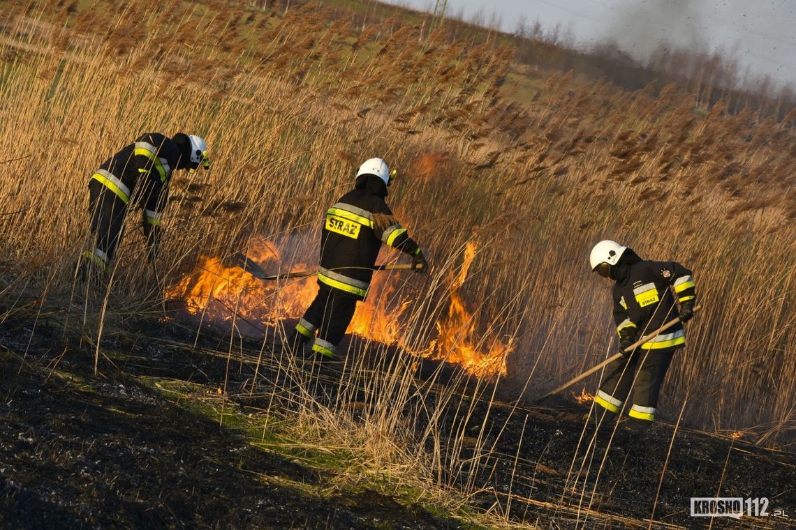 ? Tragedia w powiecie jasielskim! W pożarze traw zginął mężczyzna!