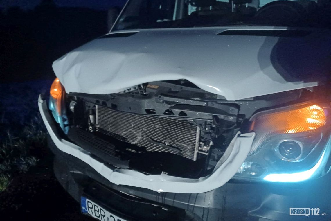 Trzciana. Zderzenie busa z sarną na DK19