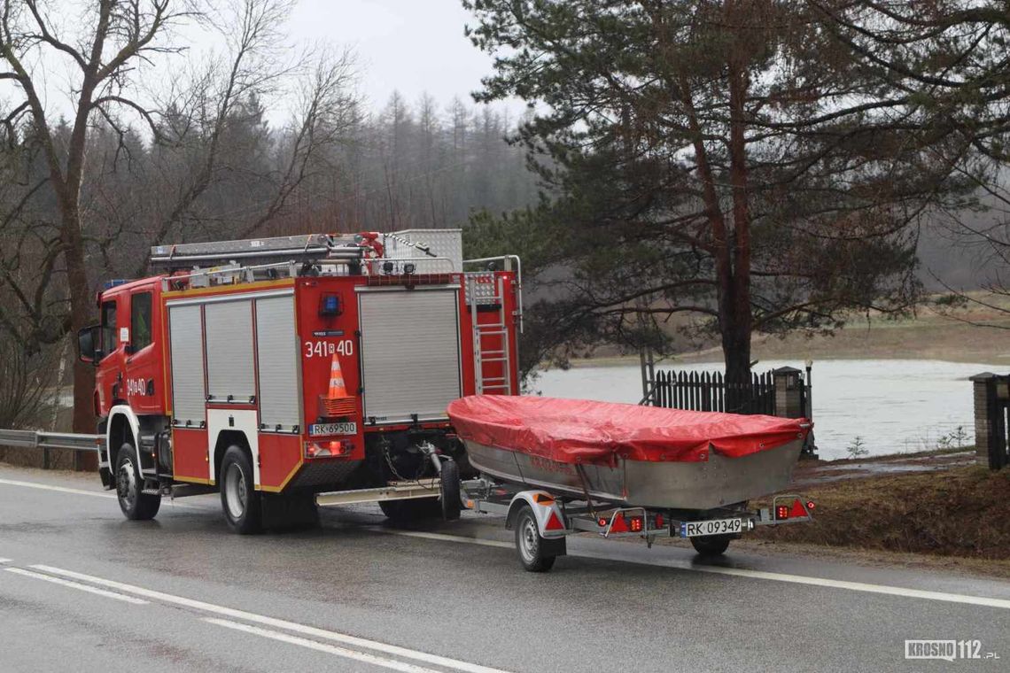 Tylawa. Jeleń wpadł do stawu przy DK19