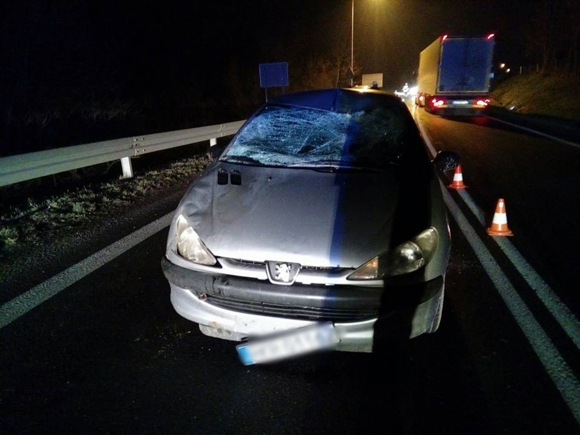 TYLAWA: Zderzenie z jeleniem. Kierująca autem poszkodowana.