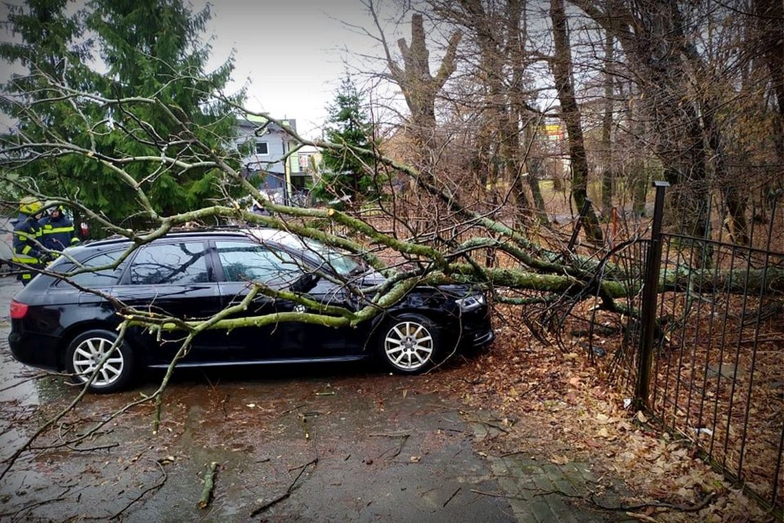 Usuwanie skutków wichury. W Krośnie i powiecie krośnieńskim 24 interwencje!