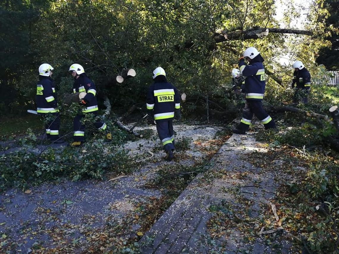 W Polsce 1676 interwencji po wichurach. W tym 25 interwencji strażaków z Krosna