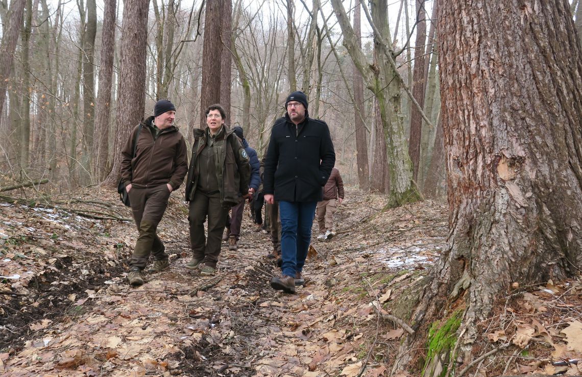 W sanockim skansenie może powstać sektor leśny