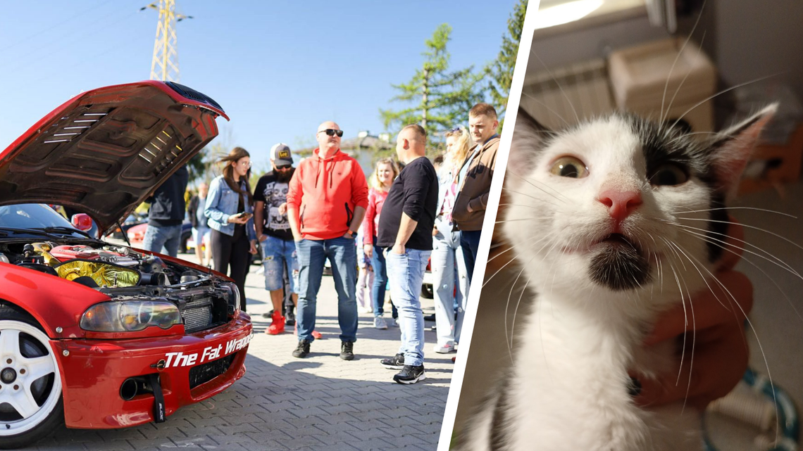W sobotę Spot Motoryzacyjny „Napęd Na Cztery Łapy” w Krośnie. Wsparcie dla OTOZu