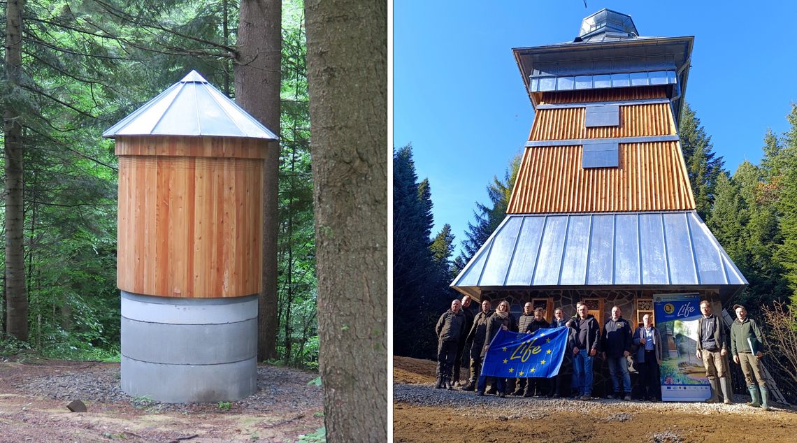 W uzdrowiskowych lasach powstała wieża i zimowisko dla nietoperzy W uzdrowiskowych lasach powstała wieża i zimowisko dla nietoperzy
